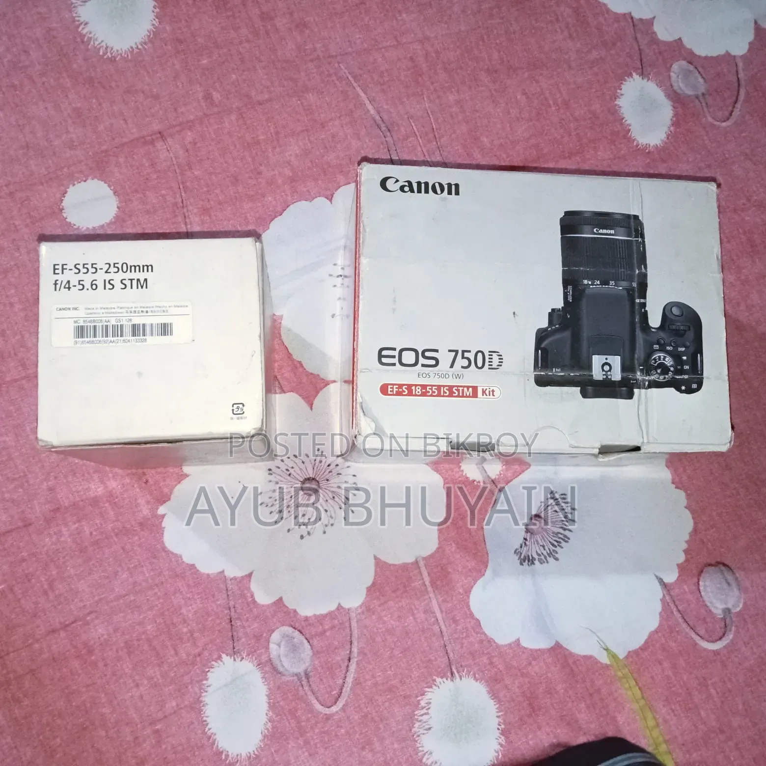 Canon Camera