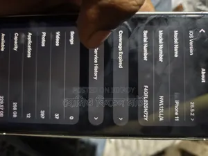 অ্যাপল আইফোন ১১ ২৫৬ জিবি গ্রে
