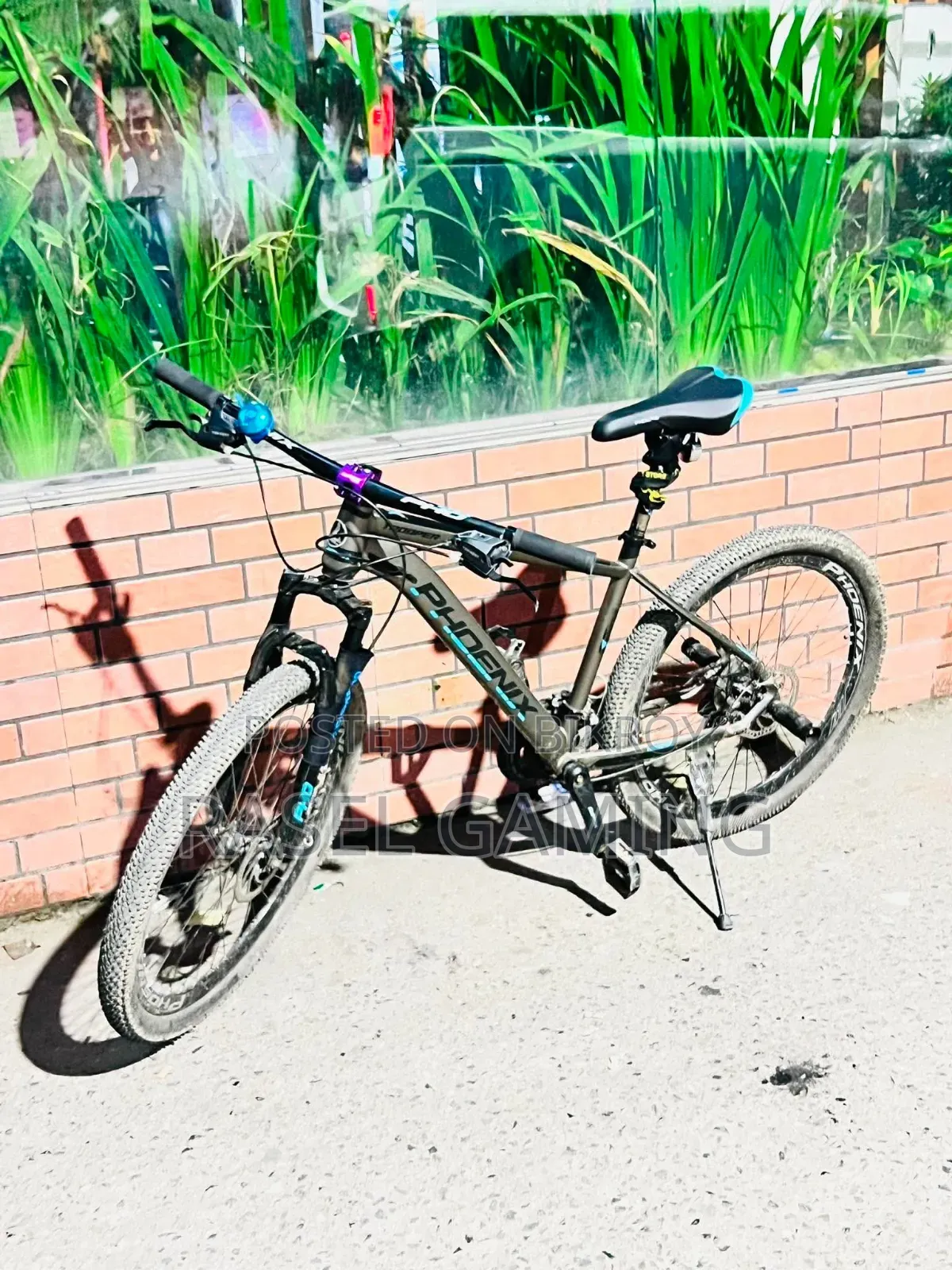 Phoenix Full Fresh Condition