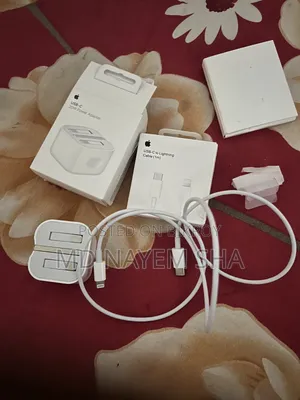 iPhone Cable and Charger