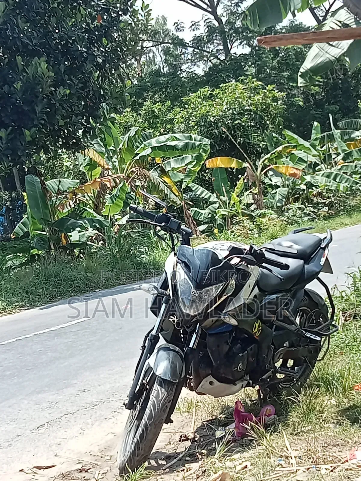 Bajaj Pulsar NS 160 2020 White