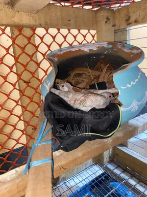 Diamond Dave Bedding Pair