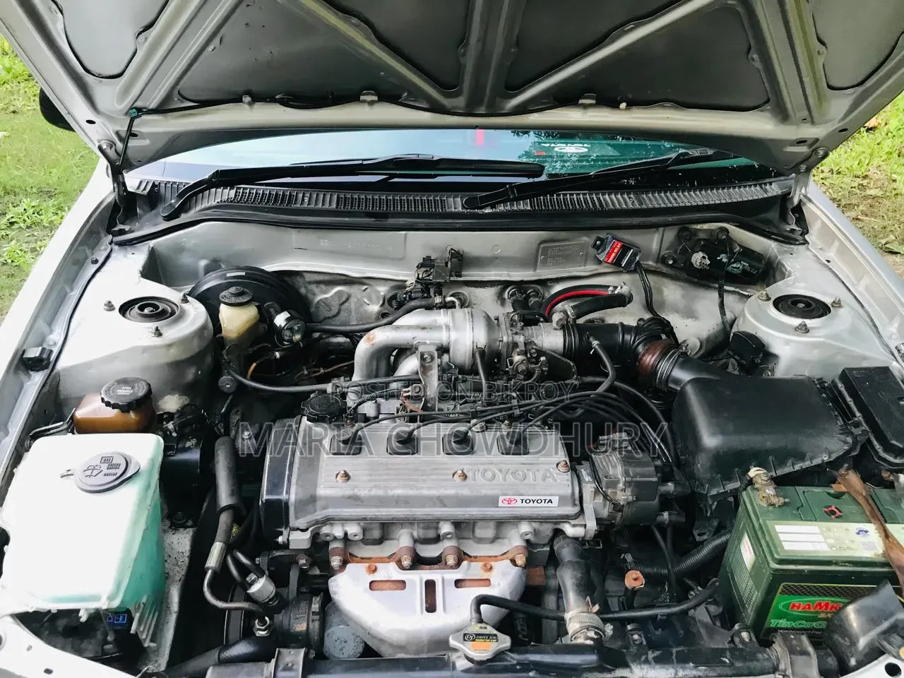 Toyota Corolla 1996 White