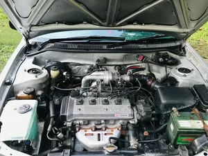 Toyota Corolla 1996 White