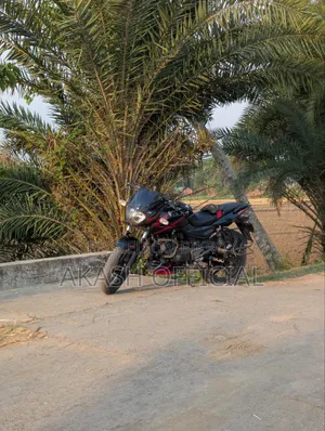 Bajaj Pulsar 150 2019 Black