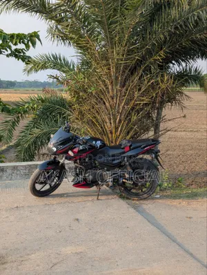 Bajaj Pulsar 150 2019 Black