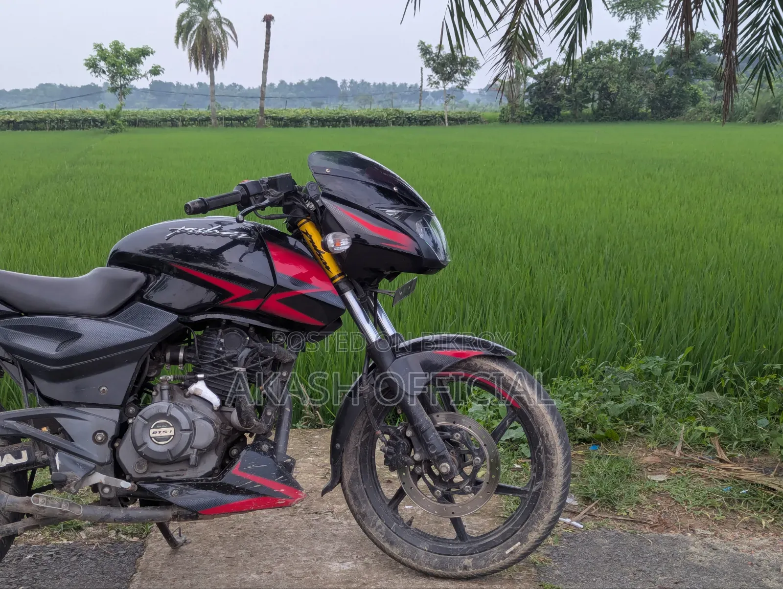 Bajaj Pulsar 150 2019 Black