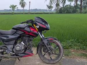 Bajaj Pulsar 150 2019 Black