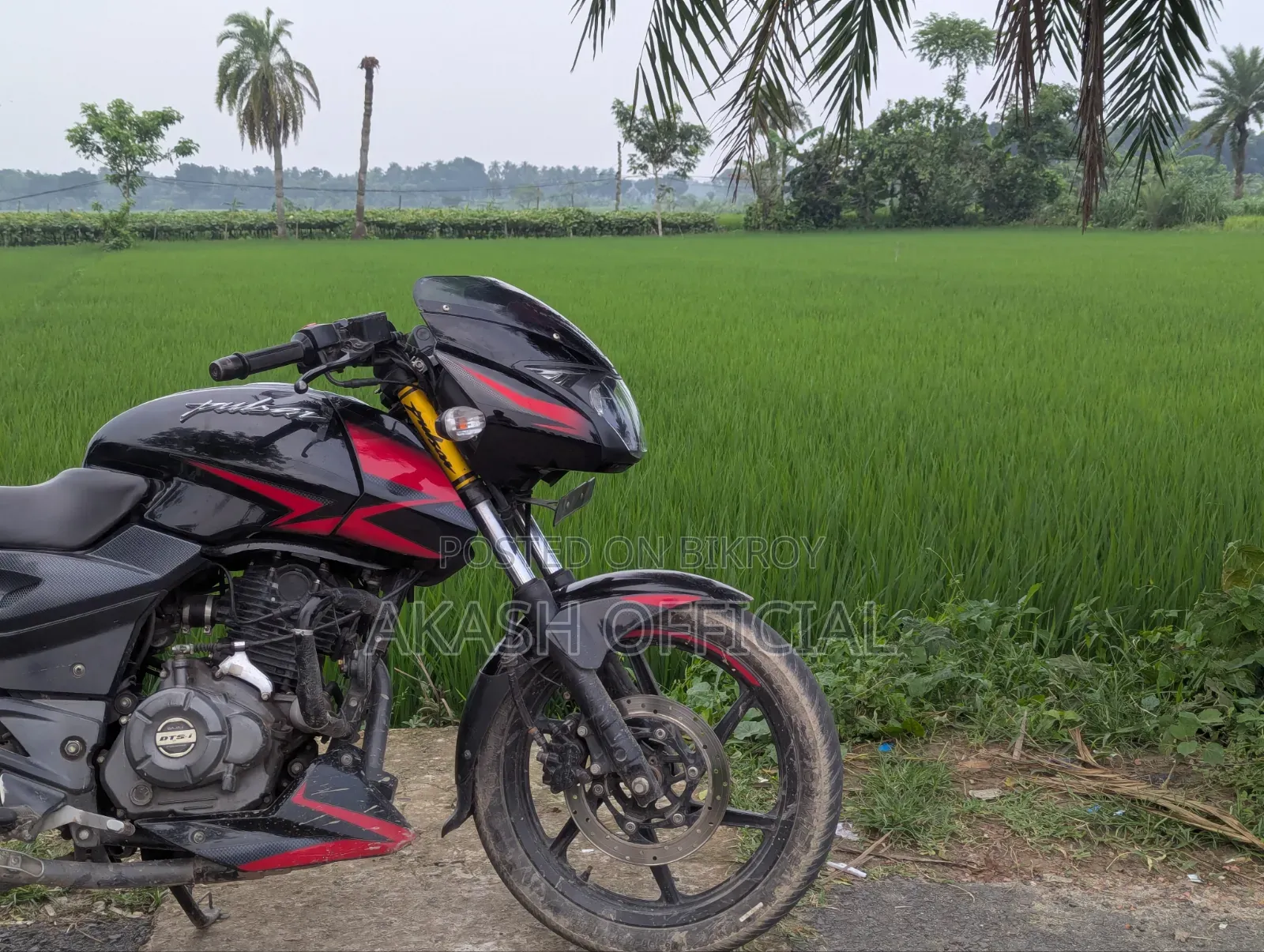 Bajaj Pulsar 150 2019 Black