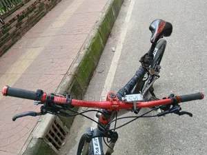 Foxter Cycle