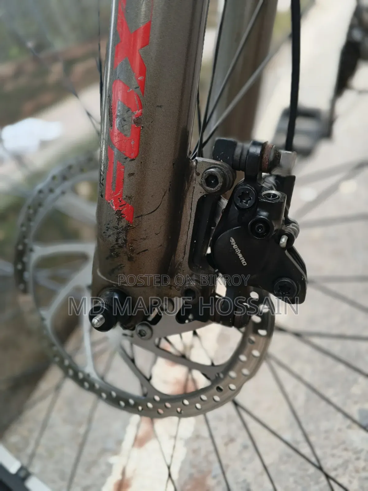 Foxter Cycle