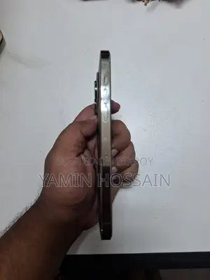 অ্যাপল আইফোন ১৪ প্রো ম্যাক্স ২৫৬ জিবি গোল্ড