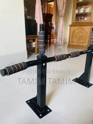 Pull Up Bar