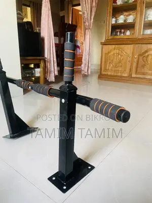 Pull Up Bar