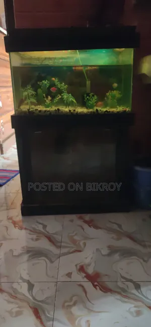 Used Aquarium