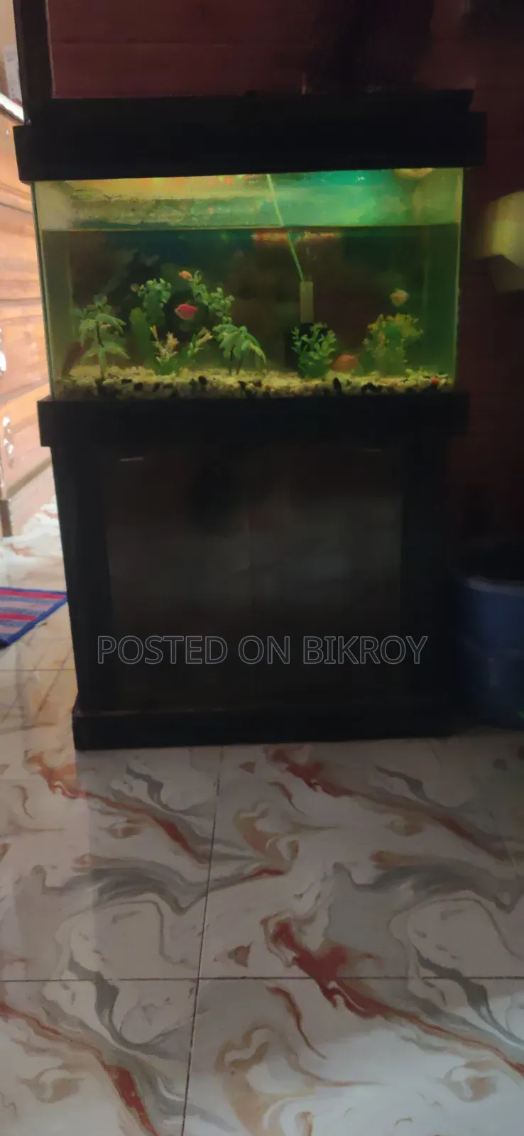 Used Aquarium