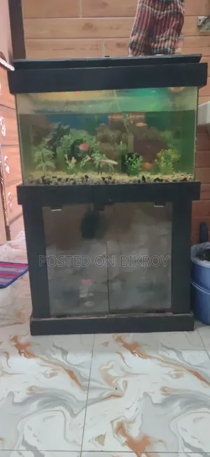 Used Aquarium