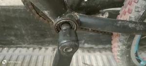 ফ্রেশ সাইকেল