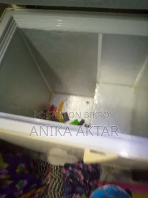 বাসা বাড়ির জন্য ডিপ ফ্রিজ