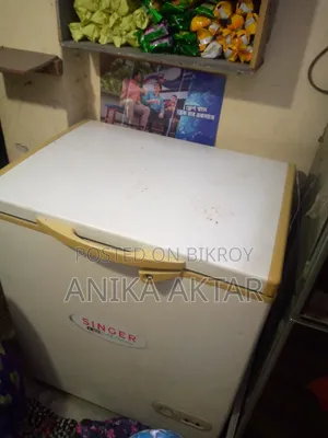 বাসা বাড়ির জন্য ডিপ ফ্রিজ