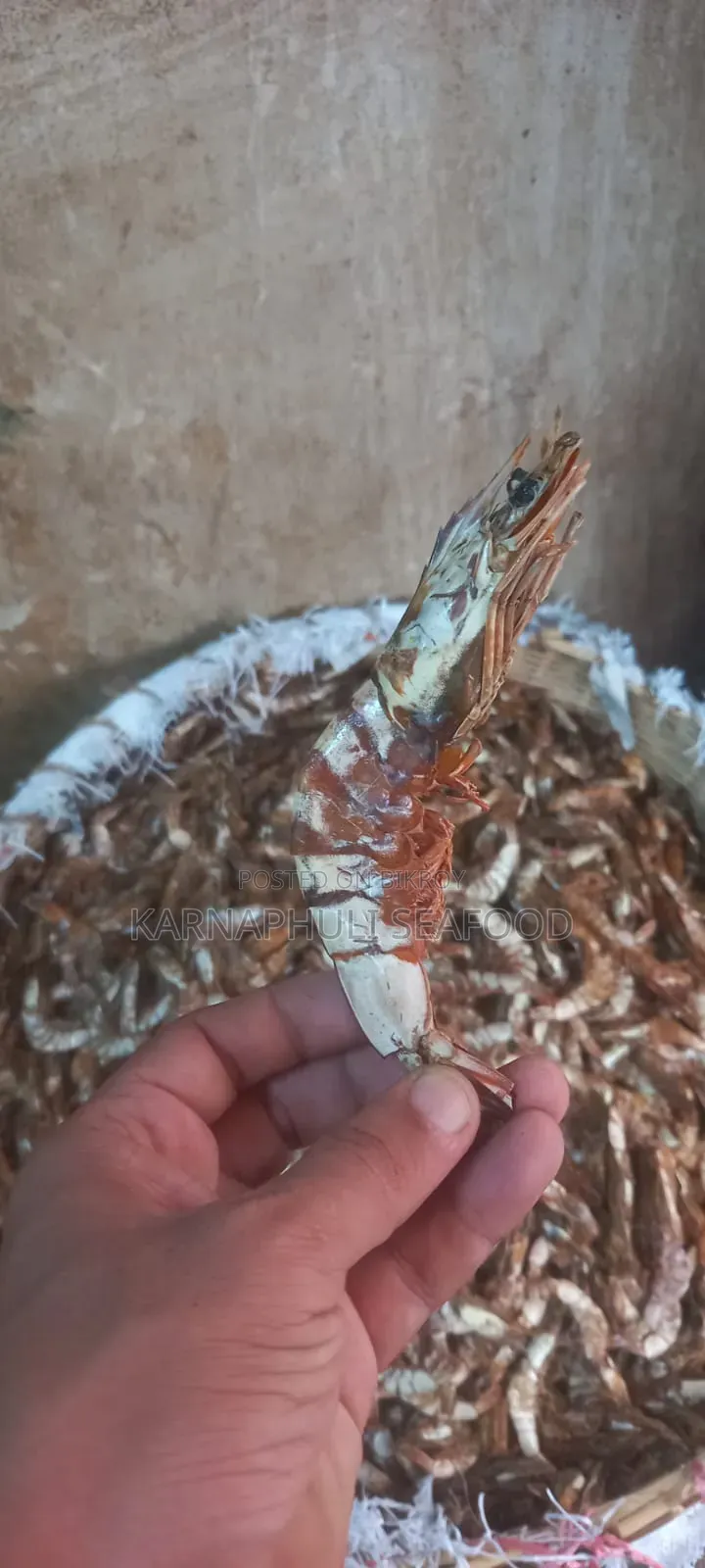 Asadganj Premium Dried Fish