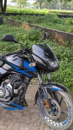 বাজাজ পালসার ১৫০ ২০২০ ব্লু