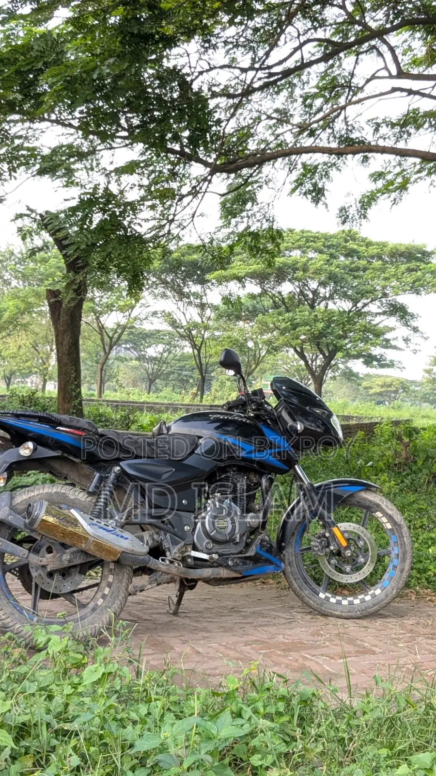 বাজাজ পালসার ১৫০ ২০২০ ব্লু