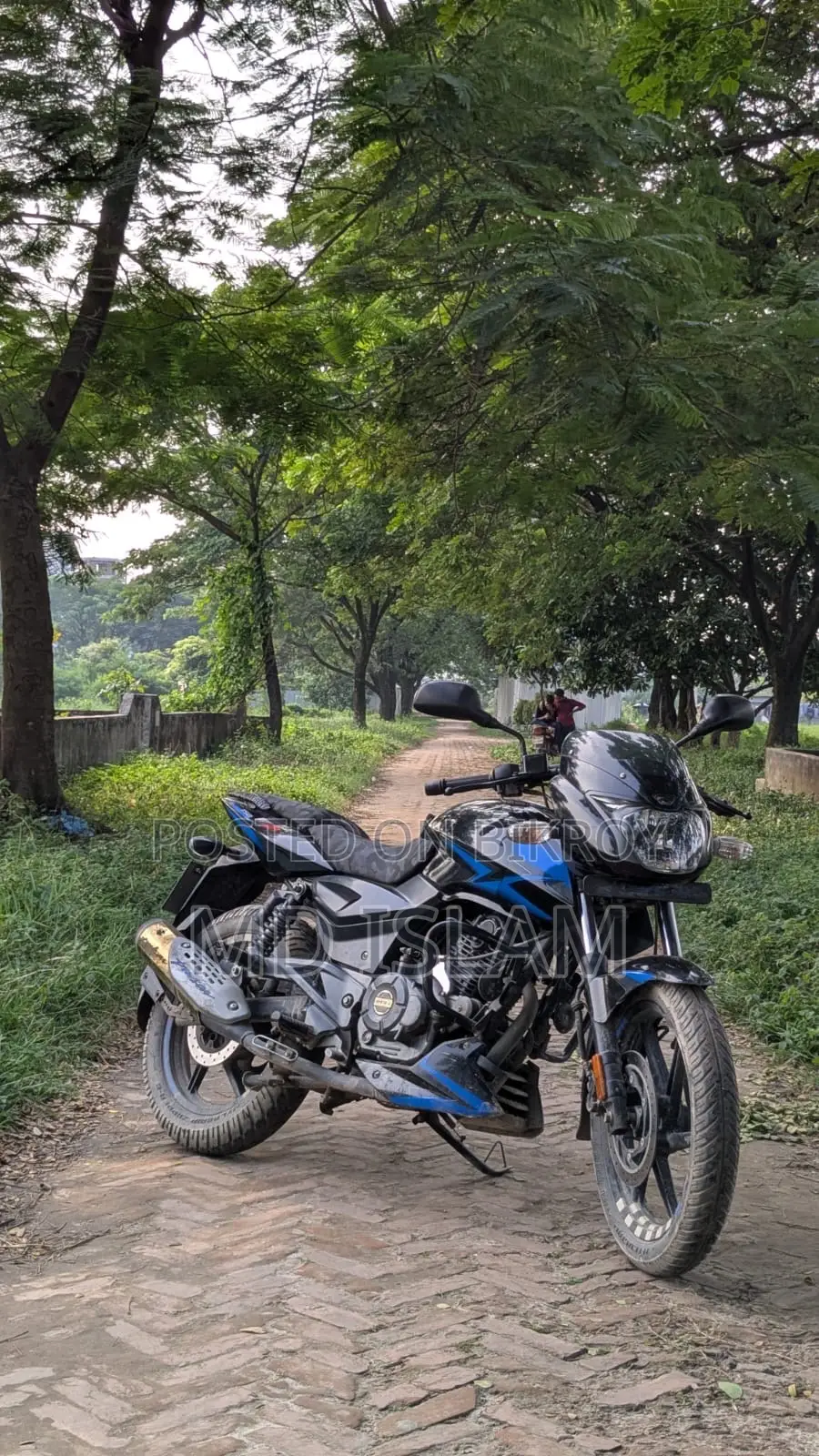 বাজাজ পালসার ১৫০ ২০২০ ব্লু