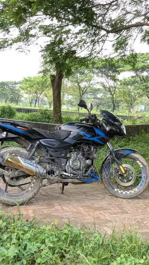 বাজাজ পালসার ১৫০ ২০২০ ব্লু
