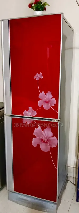 সিঙ্গার ফ্রিজ বিক্রয় হবে ১৪ সেপটির