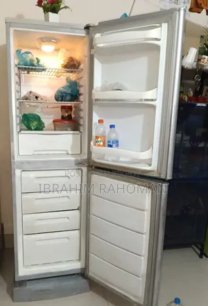 সিঙ্গার ফ্রিজ বিক্রয় হবে ১৪ সেপটির
