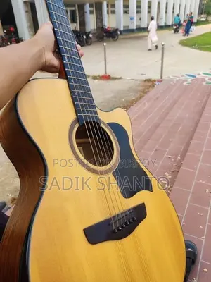 Deviser LS570-40 Acoustic Guitar