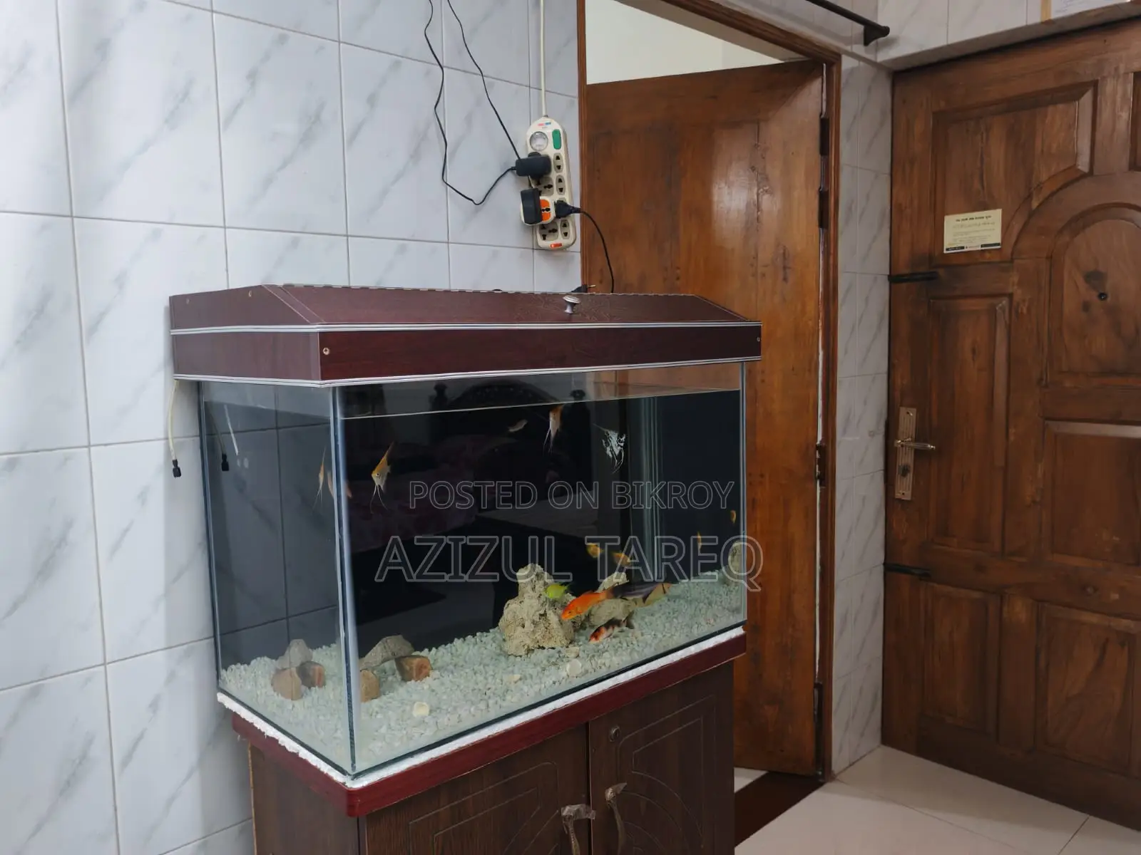 Crystal Glass Big Size Aquarium with fish