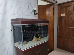 Crystal Glass Big Size Aquarium with fish
