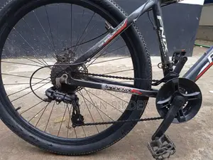 Phoenix Bicycle