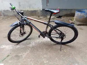 Phoenix Bicycle