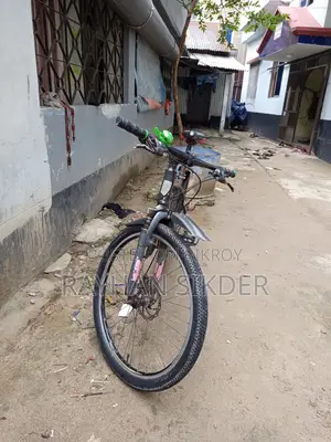 Phoenix Bicycle