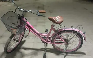 লেডিস সাইকেল