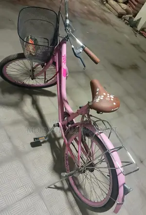 লেডিস সাইকেল