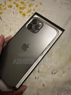 Apple iPhone 12 Pro Max 256 GB Gray