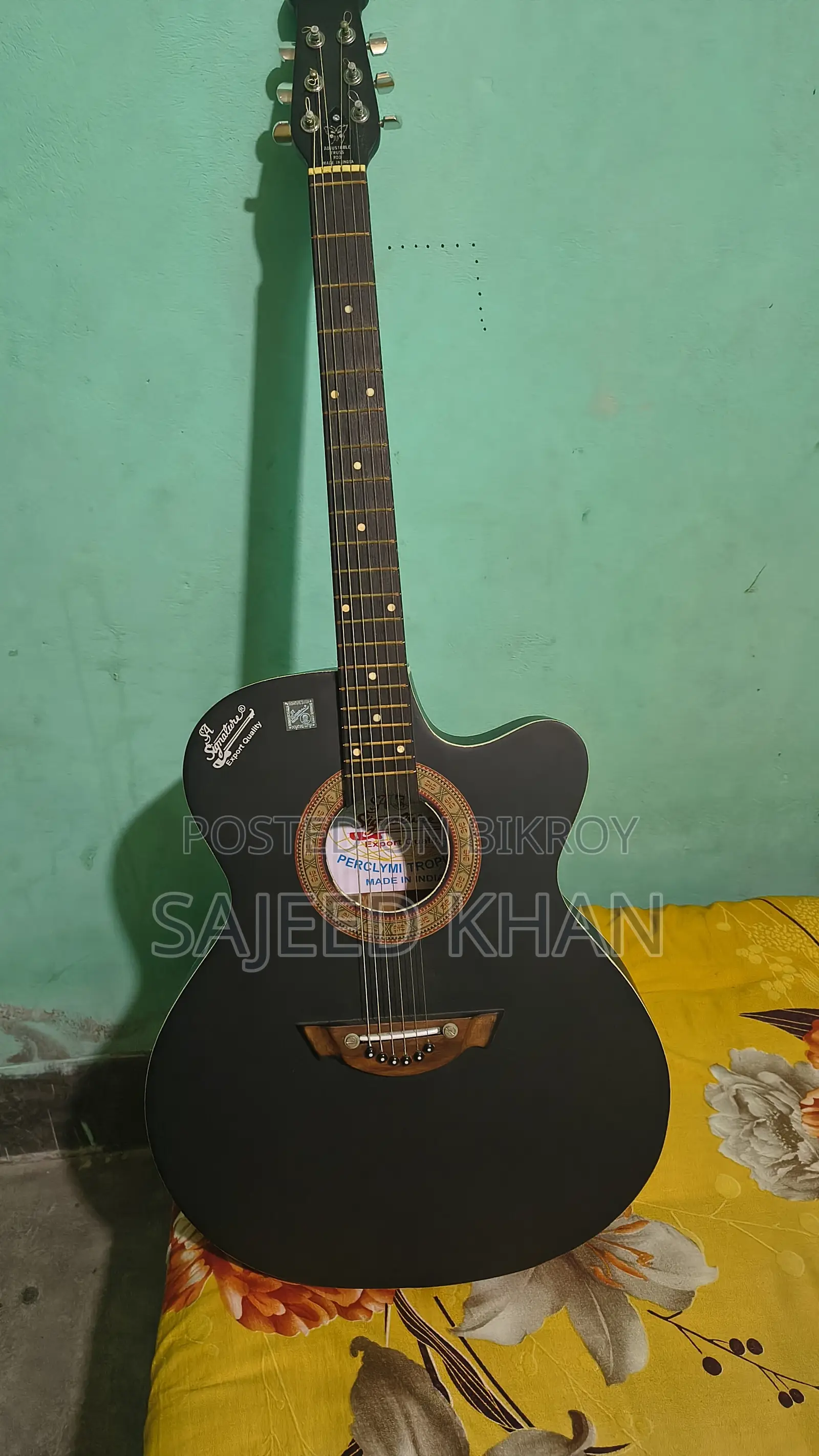 Acoustic Guitar