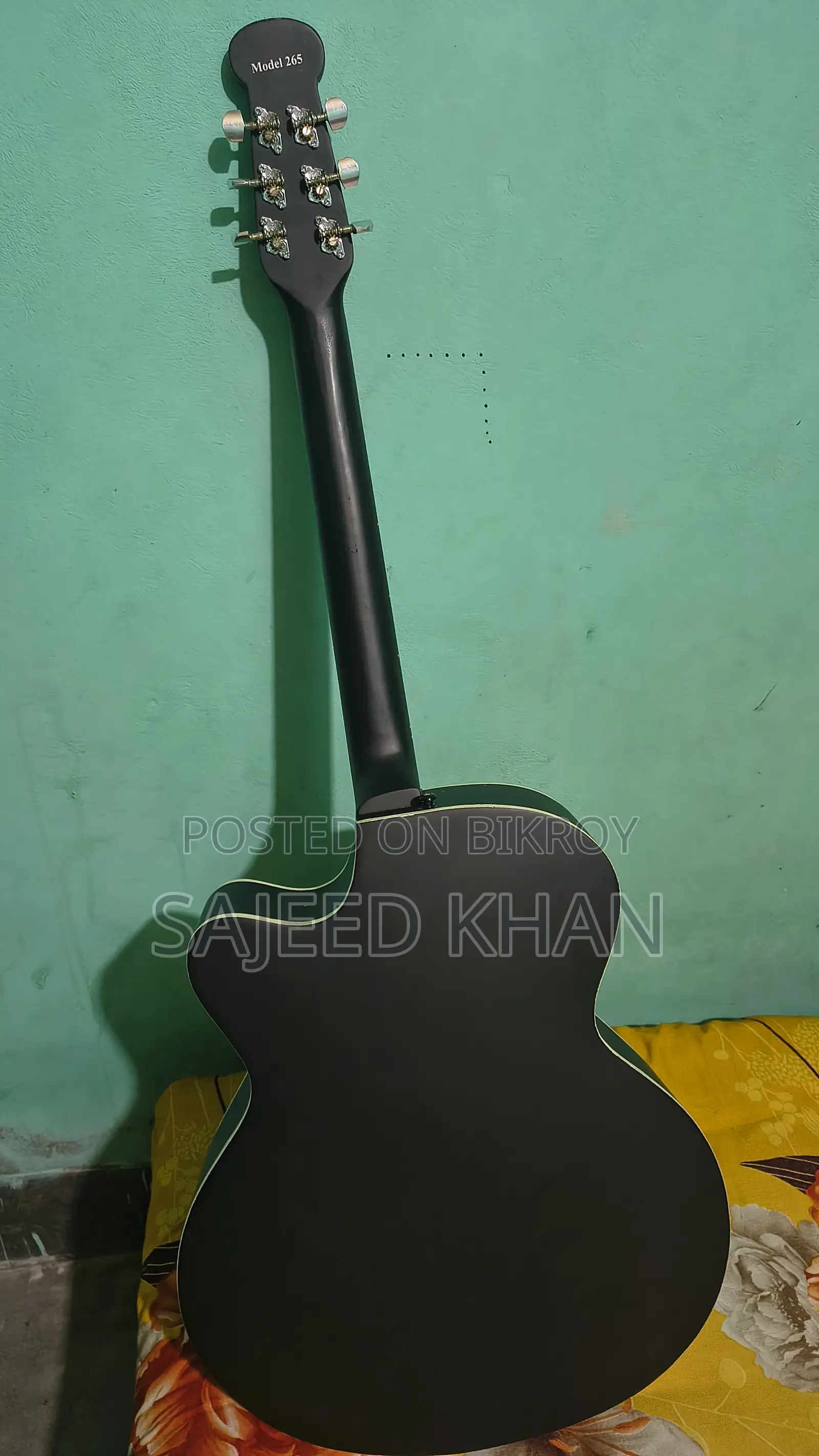 Acoustic Guitar