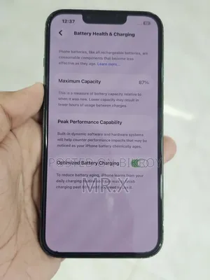 অ্যাপল আইফোন ১৩ ১২৮ জিবি গ্রিন