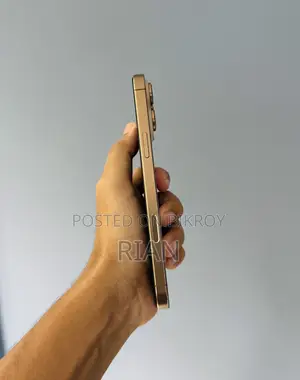 Apple iPhone 16 Pro Max 256 GB Gold