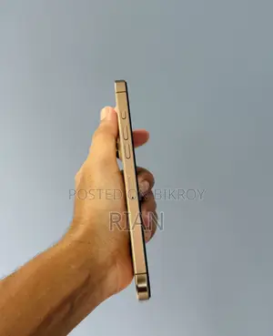 Apple iPhone 16 Pro Max 256 GB Gold