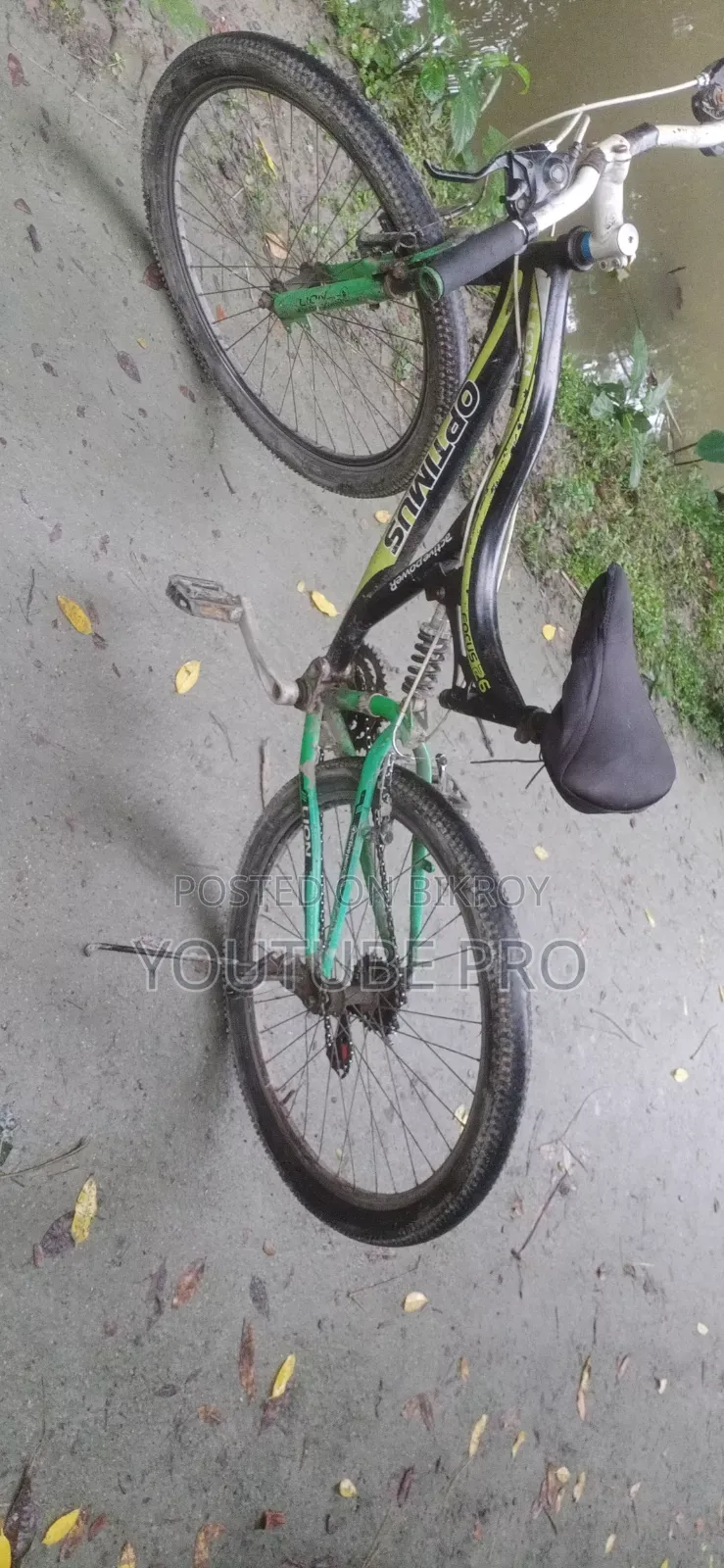 ব্যক্তি গত চলাচল বাই সাইকেল।