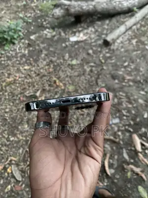 Apple iPhone 12 Pro Max 128 GB