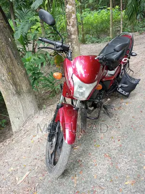 Runner Bullet 100 2017 Red