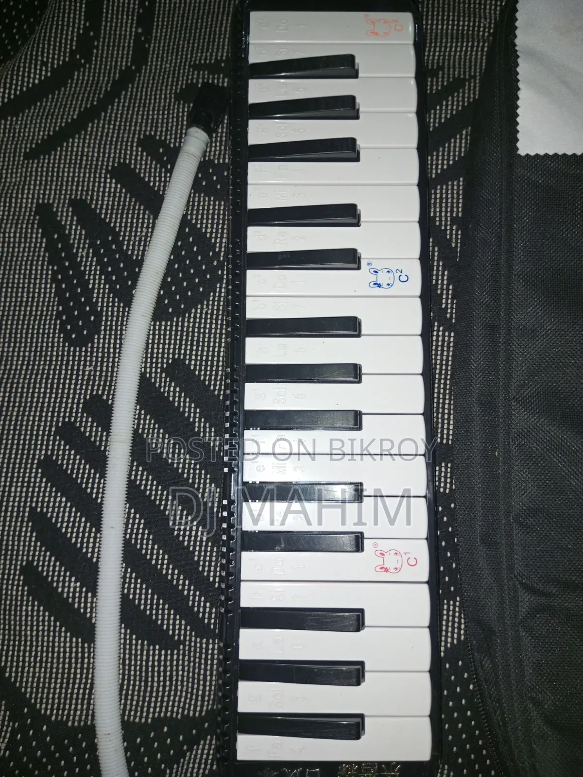 Melodica Harmonica