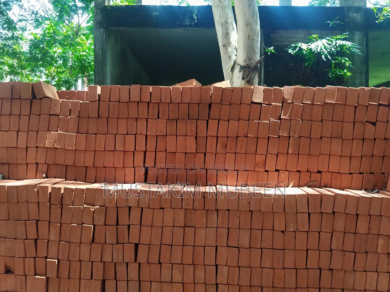 প্লট বিক্রি বসুন্ধরা ৩ কাঠা